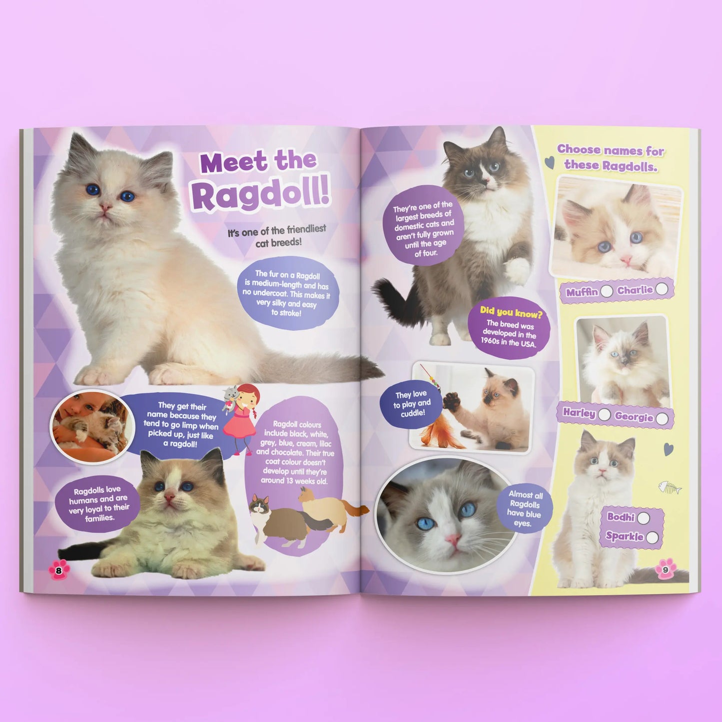 Pets 2 Collect Acitivty Book