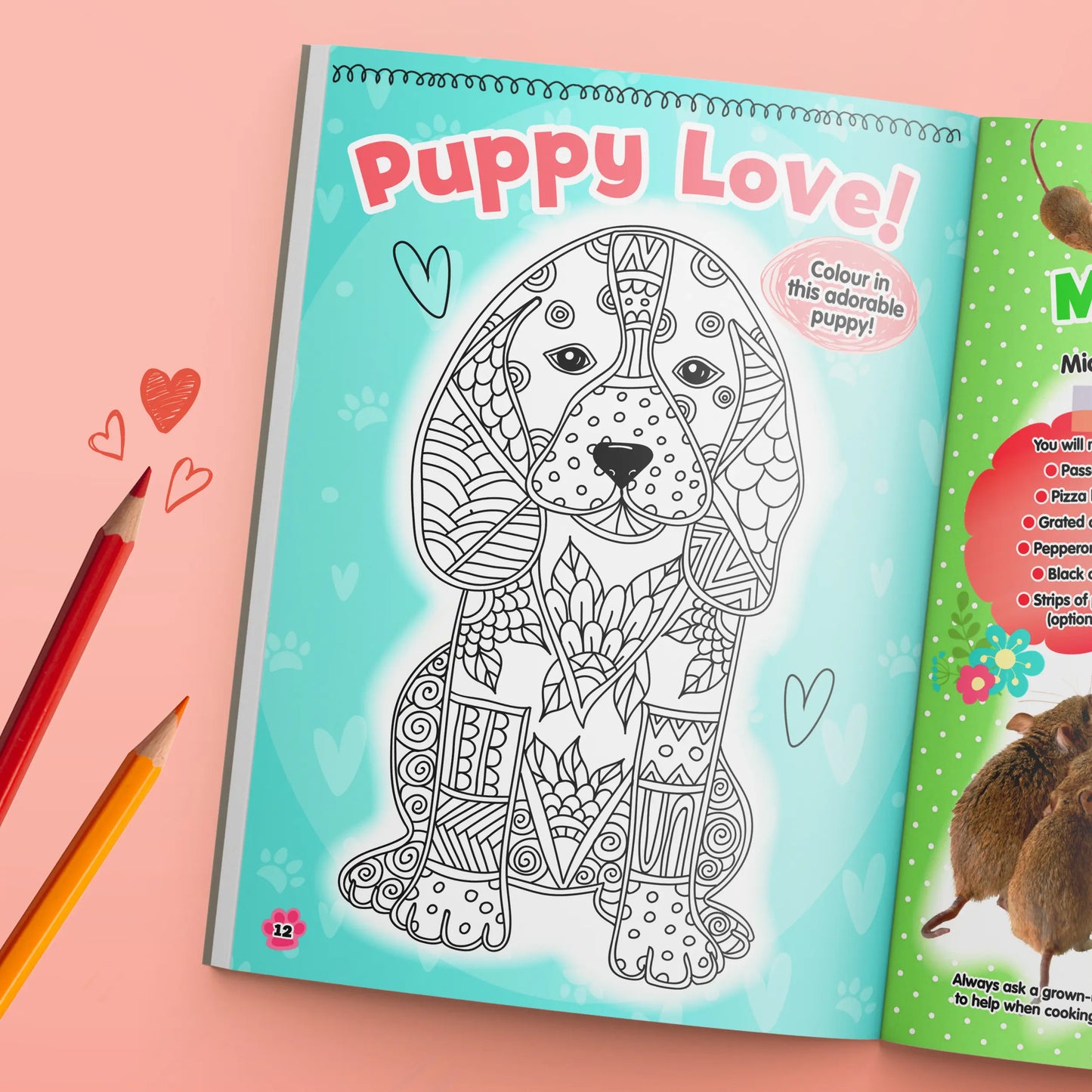 Pets 2 Collect Acitivty Book