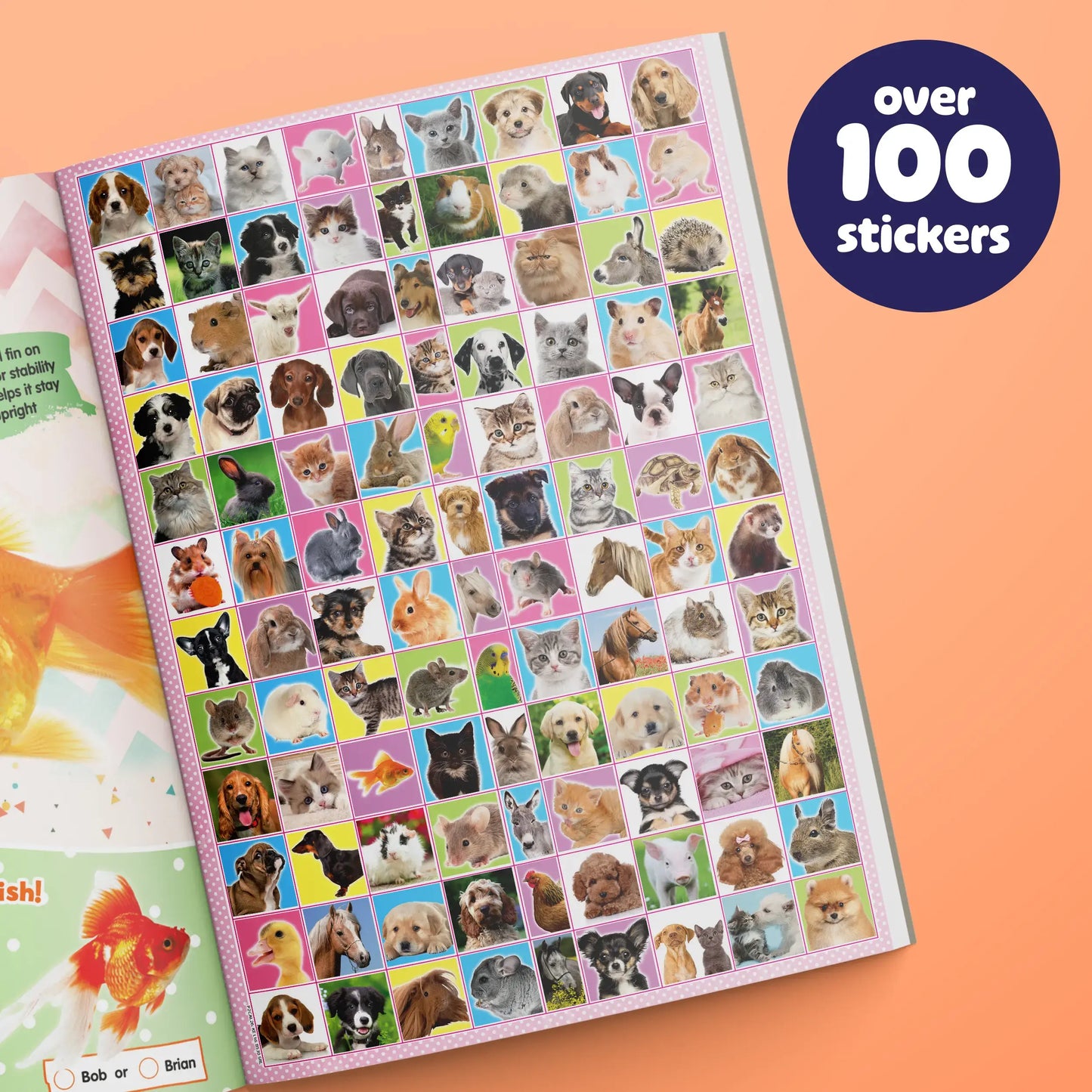 Pets 2 Collect Acitivty Book