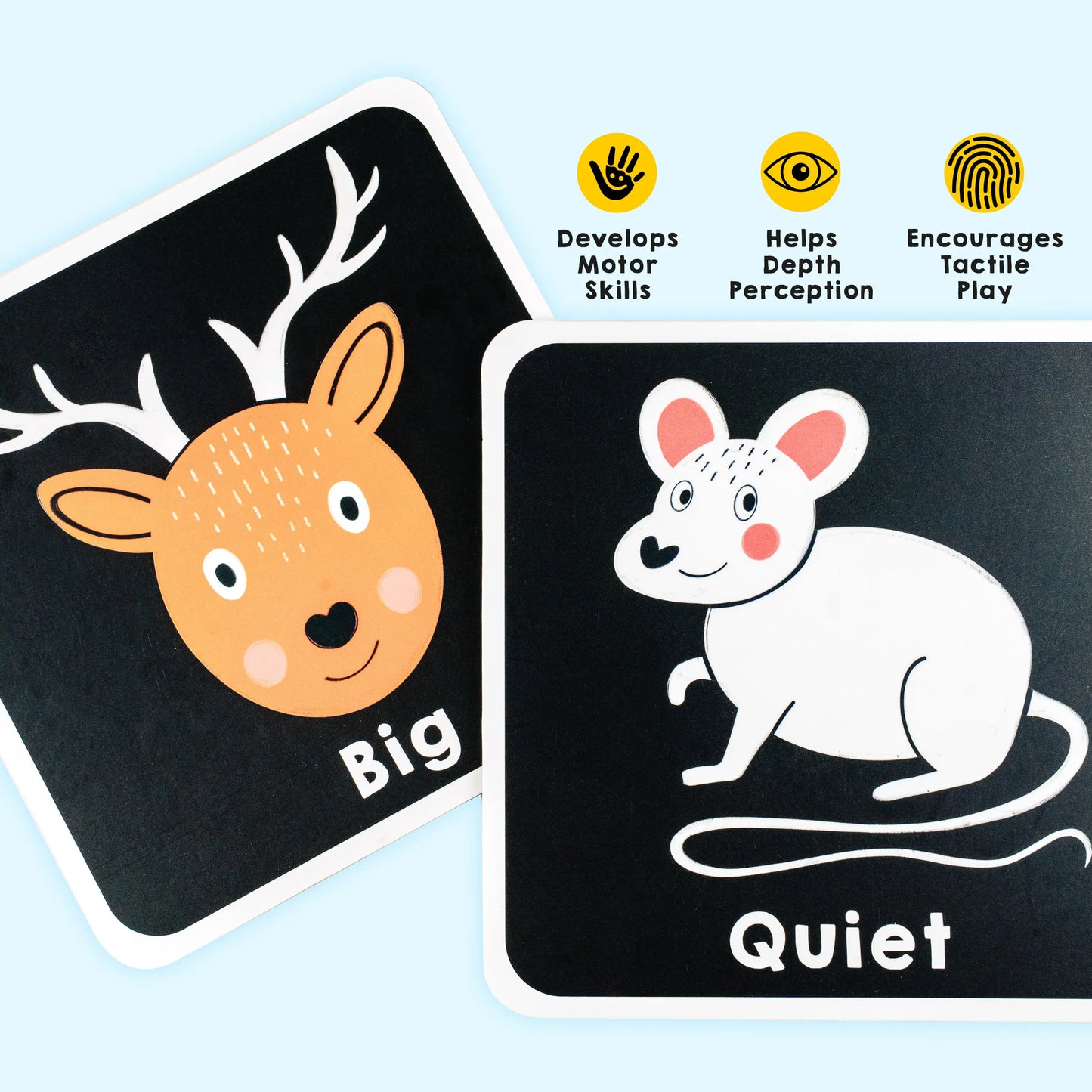 A Wonderful Wood: Sensory Set