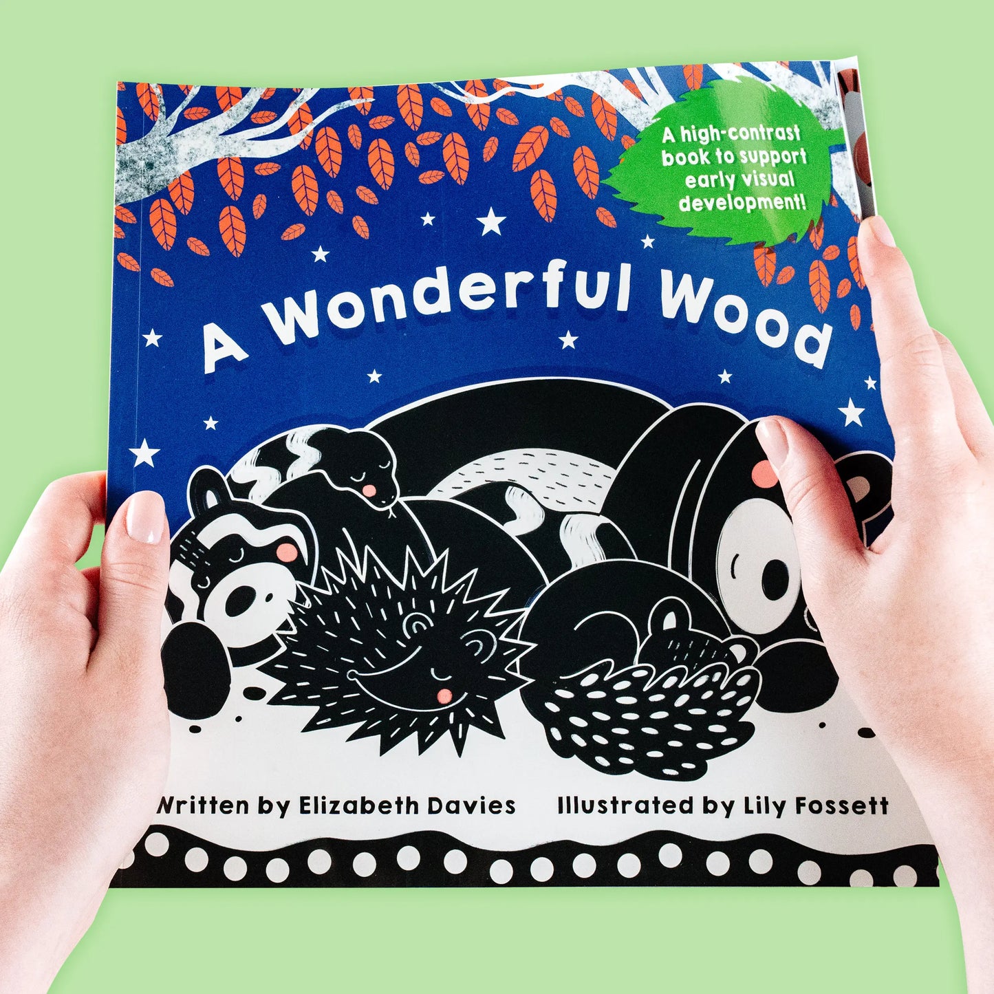 A Wonderful Wood: Storybook