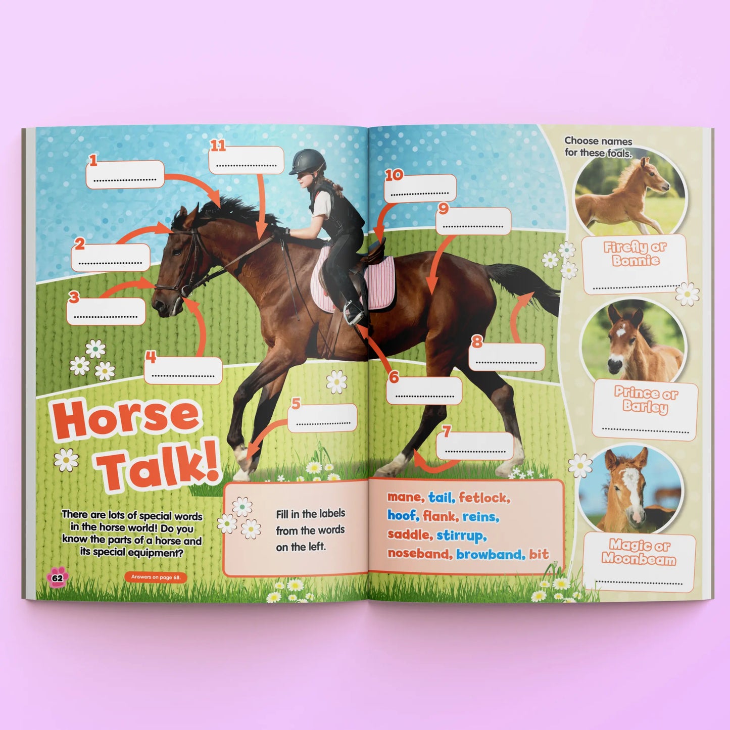 Pets 2 Collect Acitivty Book